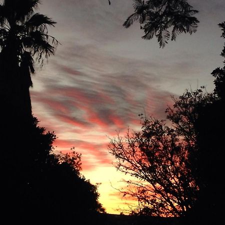 Artkaroo Stay Oudtshoorn Buitenkant foto