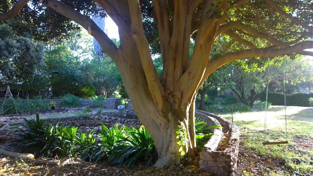 Artkaroo Stay Oudtshoorn Buitenkant foto