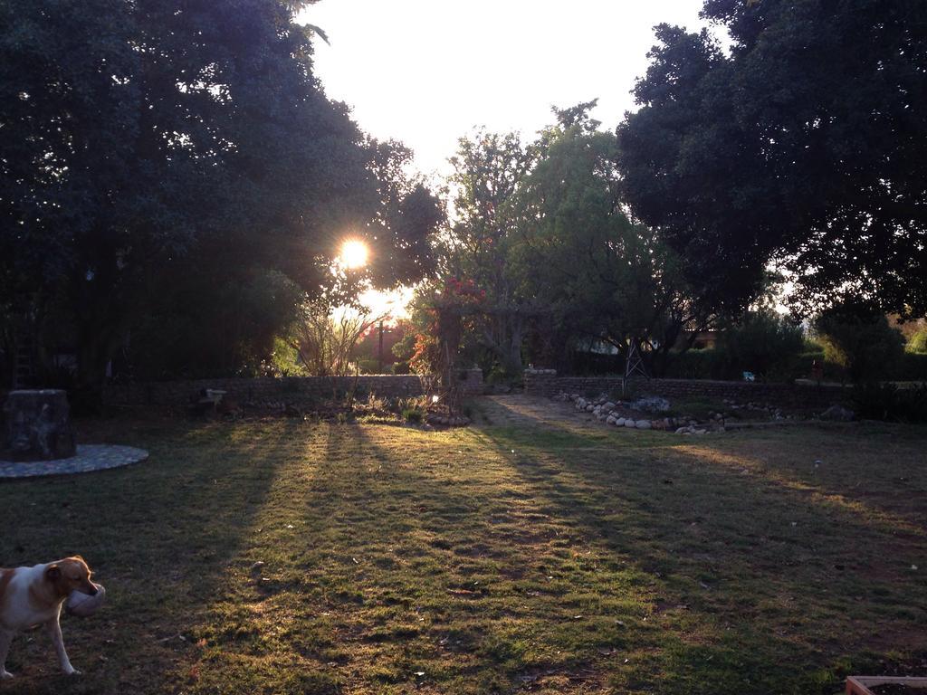 Artkaroo Stay Oudtshoorn Buitenkant foto