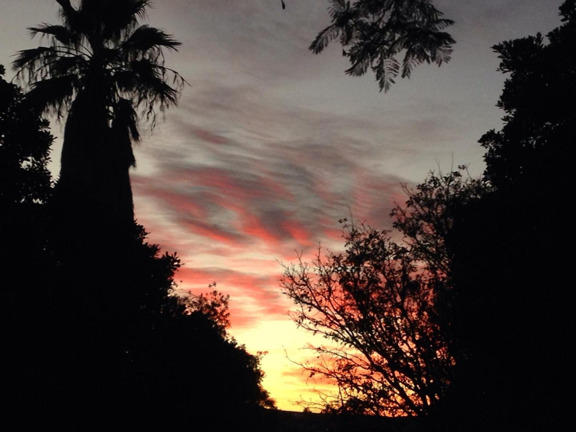 Artkaroo Stay Oudtshoorn Buitenkant foto